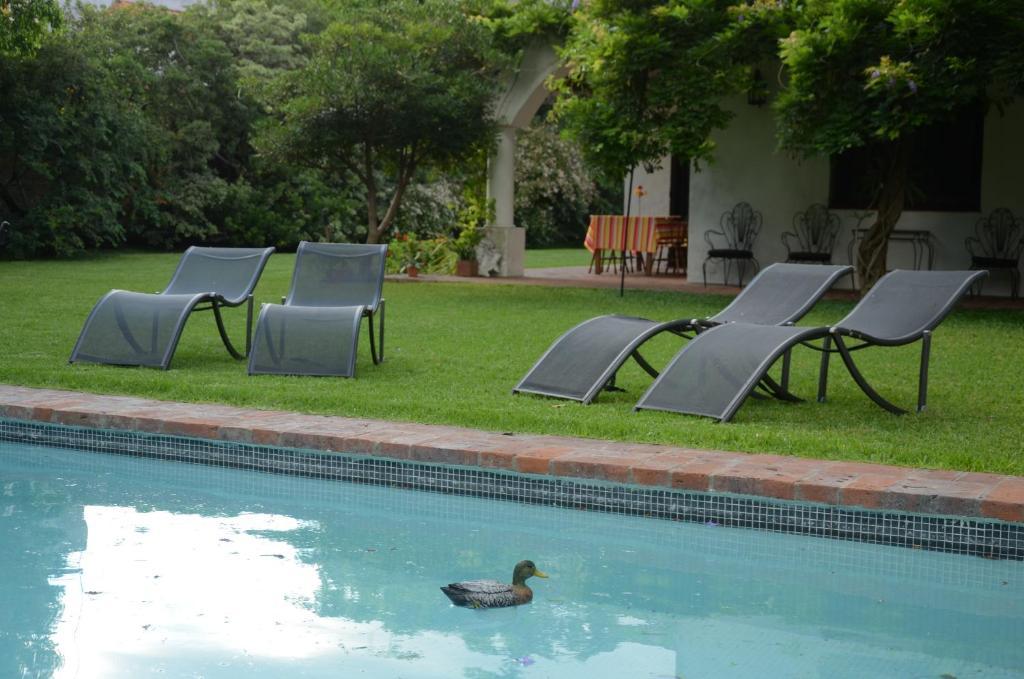 Vicente López Susana Just Boutique Hotel المظهر الخارجي الصورة
